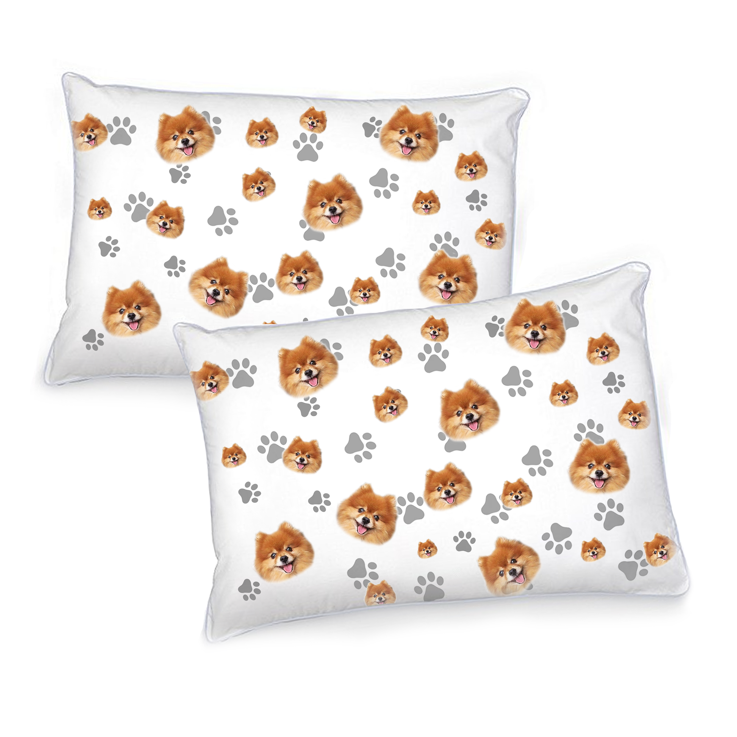 מארז לחברים הפרוותיים