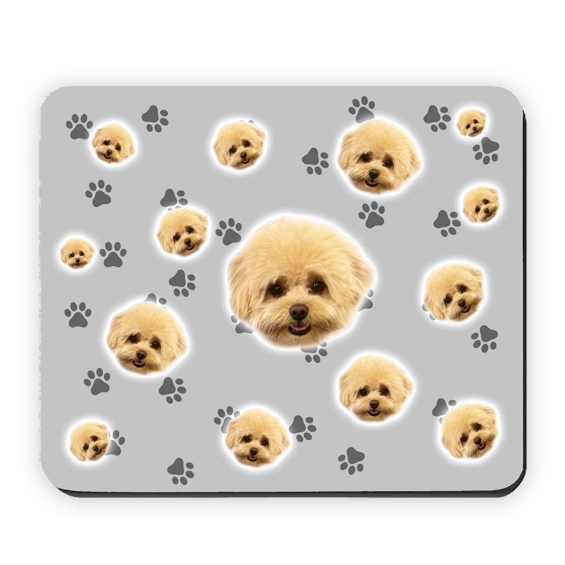 הכלב שלי על פד לעכבר