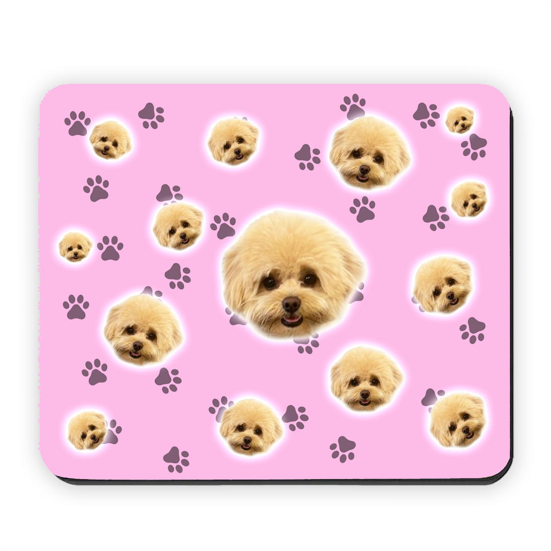 הכלב שלי על פד לעכבר