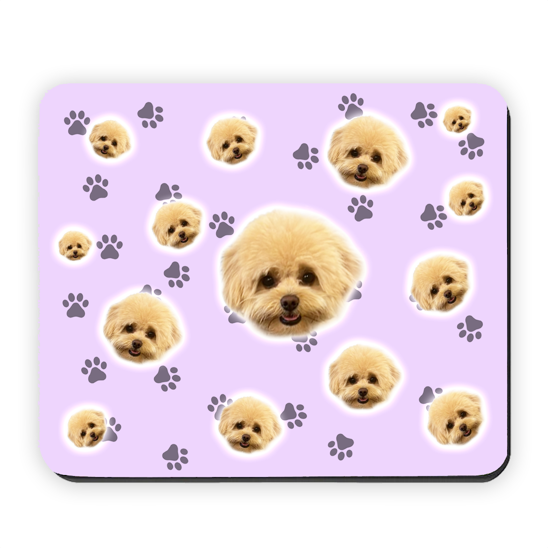 הכלב שלי על פד לעכבר