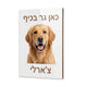 שלט לדלת עם תמונה של הכלב