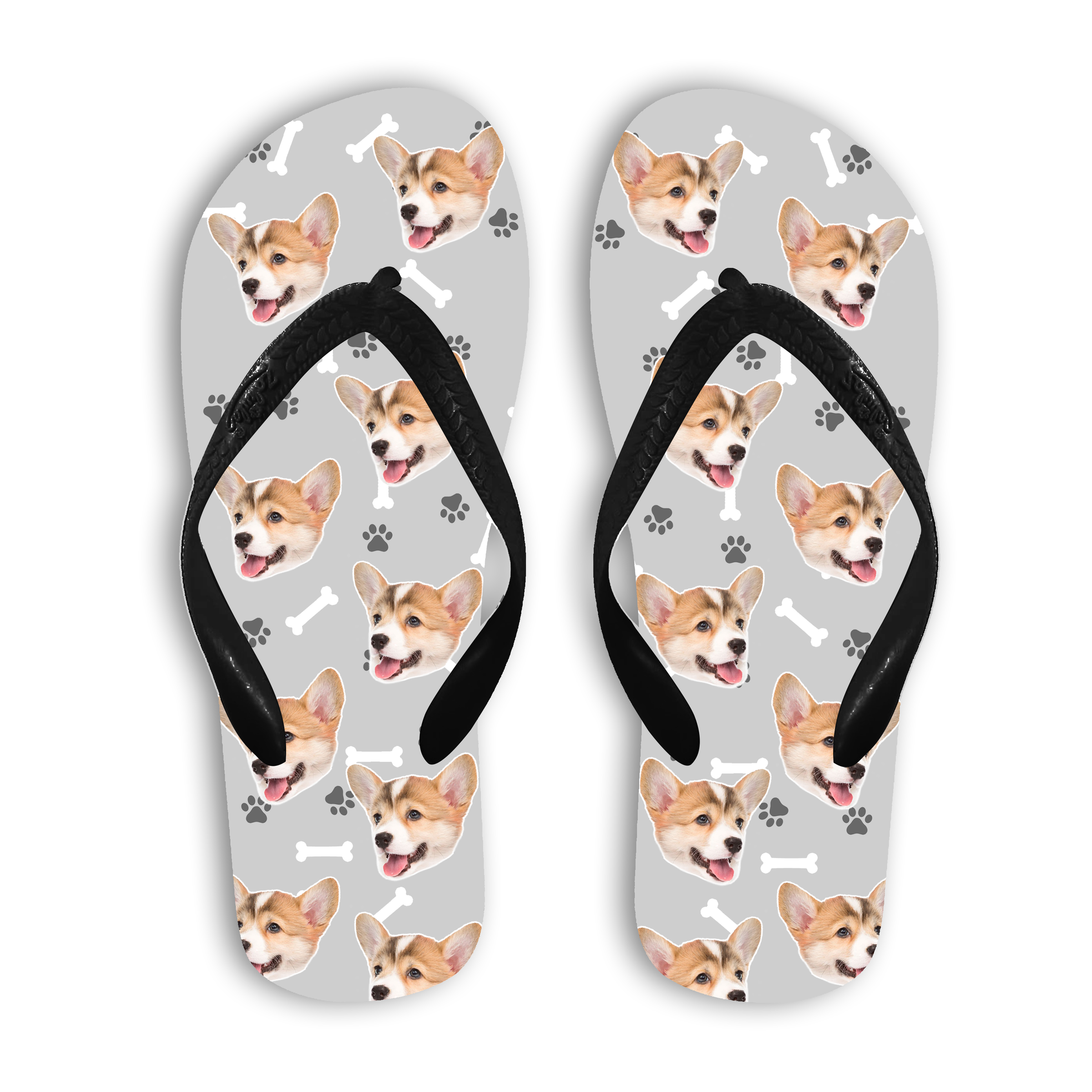 מארז לחברים הפרוותיים