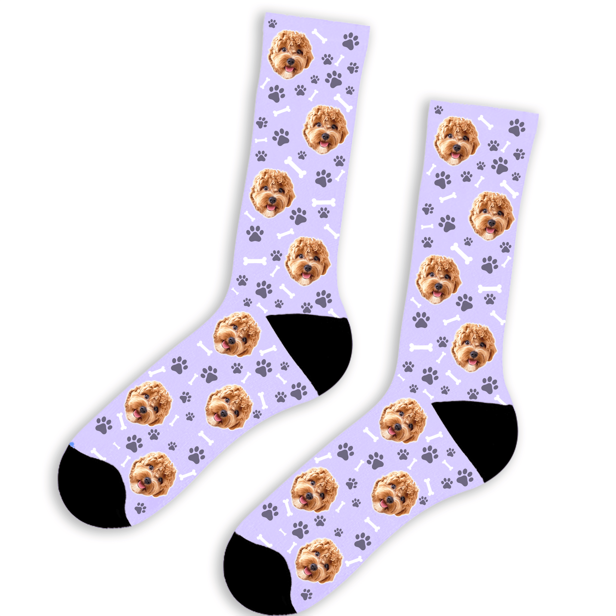 הכלב שלי על גרביים - גרביים מודפסות בעיצוב אישי