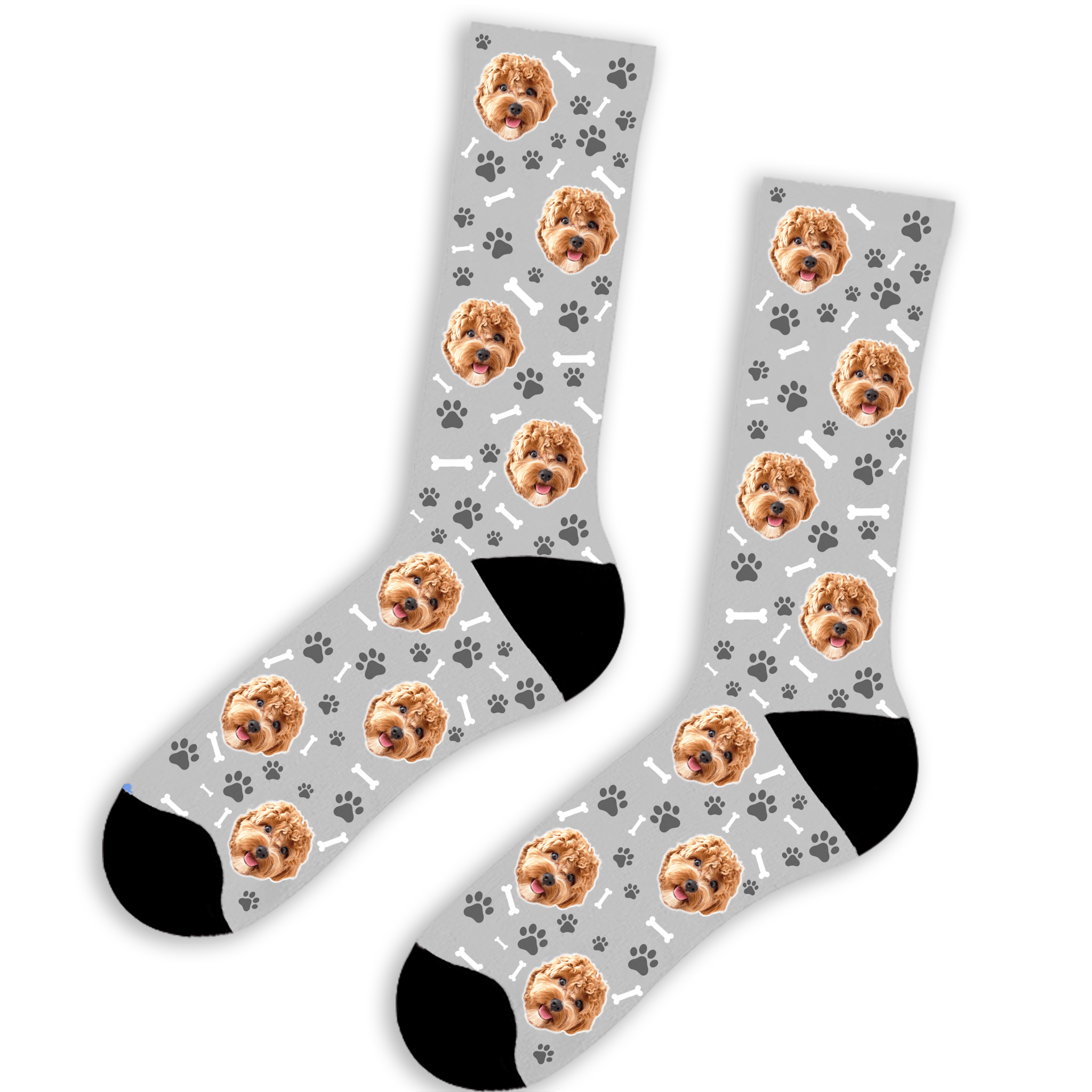 הכלב שלי על גרביים | שוגיס - 15 דק׳ בסניף